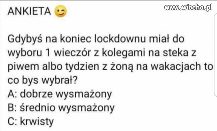 Ankieta