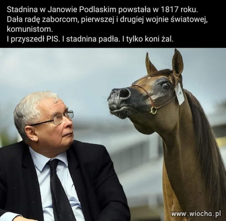 Nie trzeba wojny. Polska w zgliszczach 
