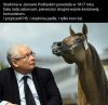 Nie trzeba wojny. Polska w zgliszczach 