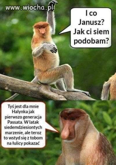 Janusz i Halyna