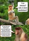 Janusz i Halyna