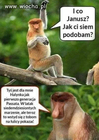 Janusz i Halyna
