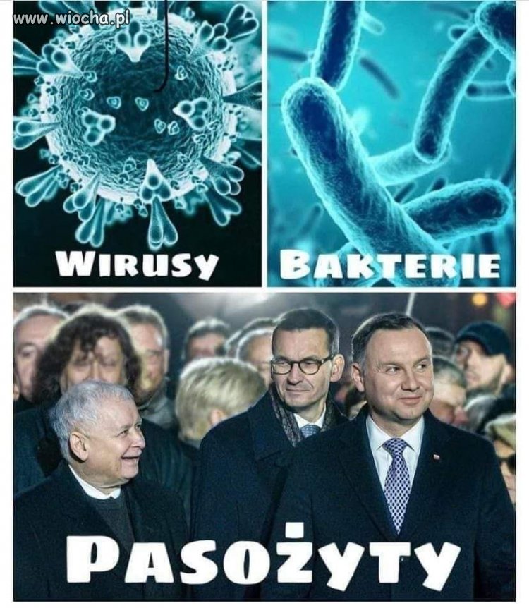 Się narobiło