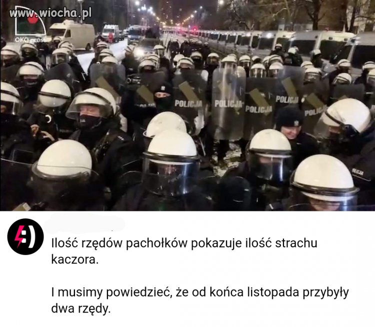 Strach kaczora 