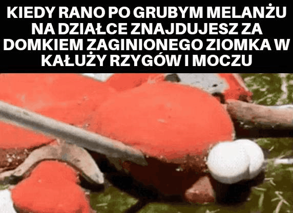Kolega..