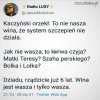 Jak nie ich wina