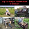 Uciekam z miast 