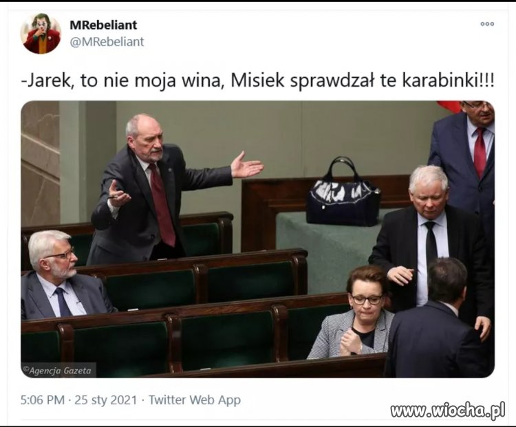 Misiek sprawdzał 