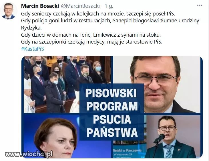 Pisowski Program Psucia Państwa