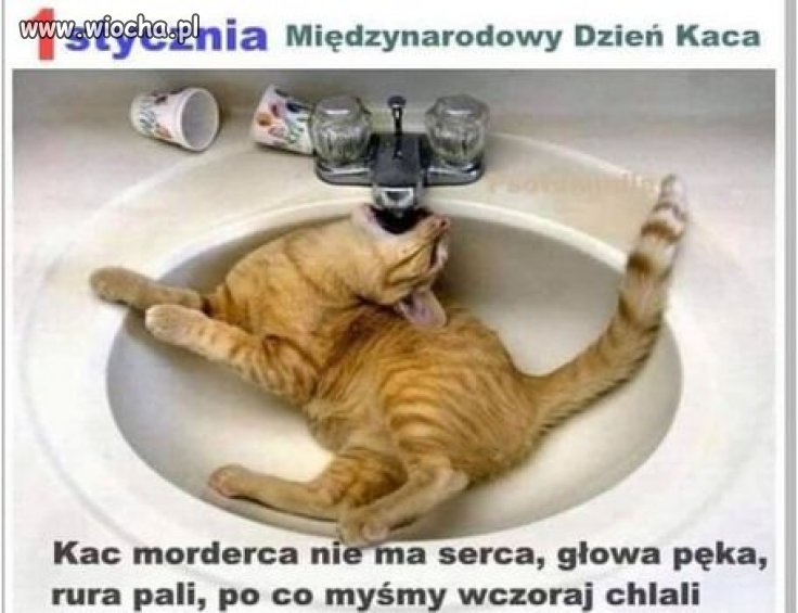 Tak to jest