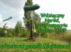 Miękiszonowi-