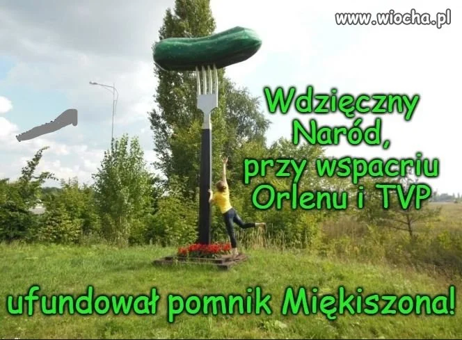 Miękiszonowi-