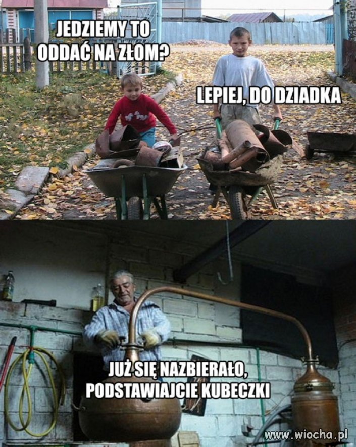 Lepiej do dziadka 