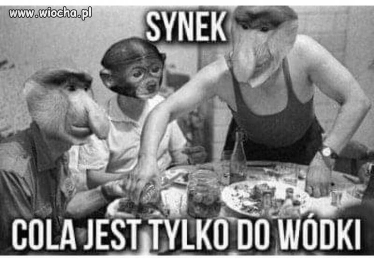 Synek nie ruszaj 