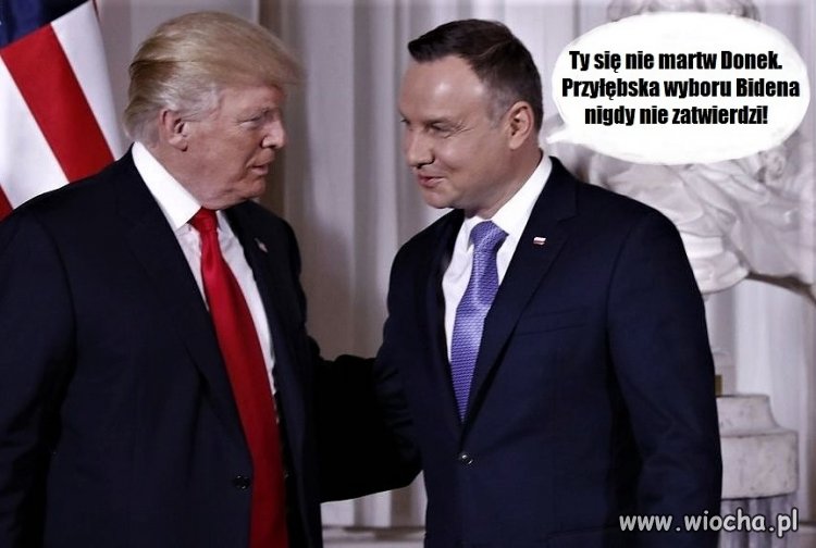 Bez tytułu.