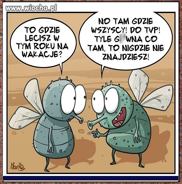 Plany już są