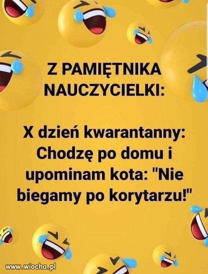 Samo życie. 