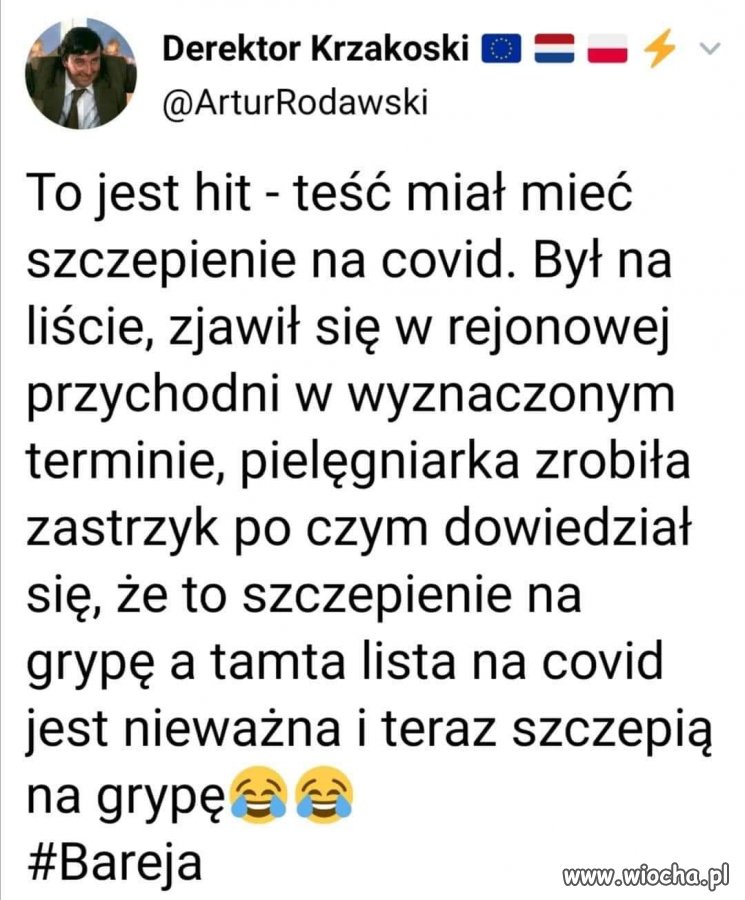 Bareja wiecznie żywy. 