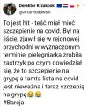 Bareja wiecznie żywy. 