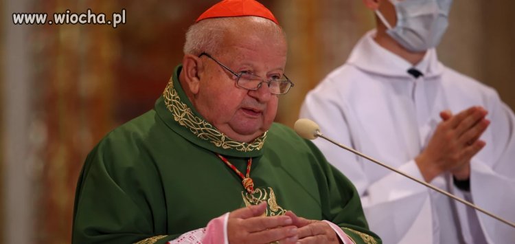 Tarcza PIS dla spasinych wieprzy działa skutecznie