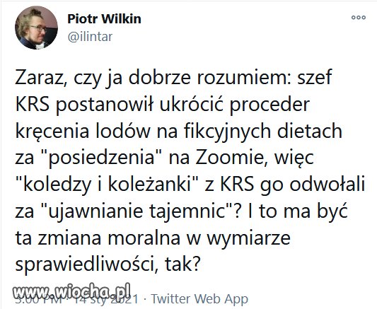 Jak świnie przy korycie. 