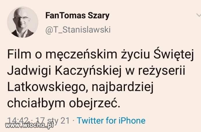 Bareja wiecznie żywy. 