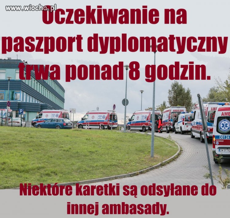 Oczekiwanie na paszport dyplomatyczny trwa ponad 8 h. 