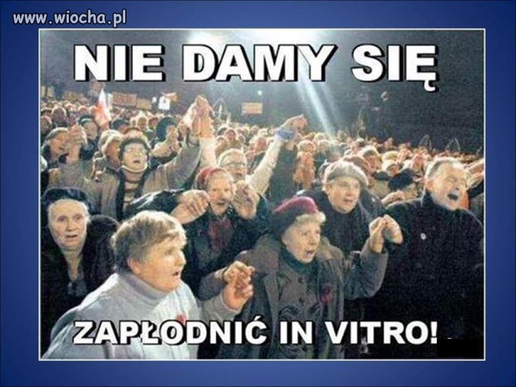 Bunt dziewic