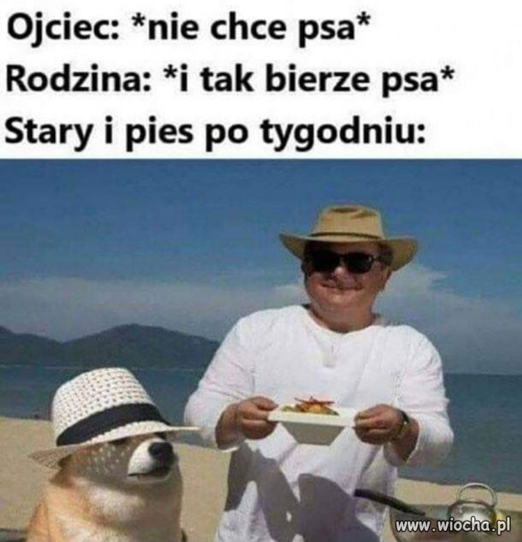 Pies
