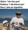 Pies