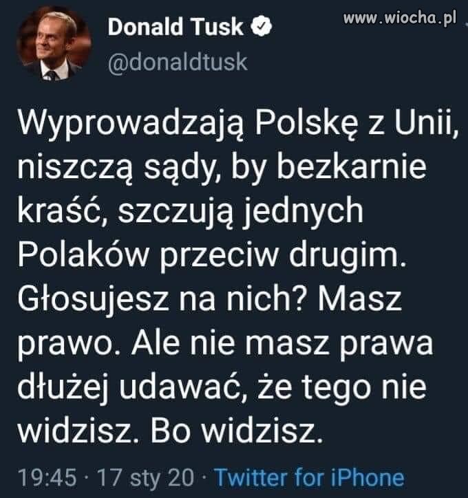  zwolennicy pisu 