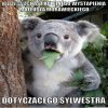 Takie Tam kiedy Vateusza zaczyna pier..ielić!