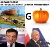 Coś z cyklu