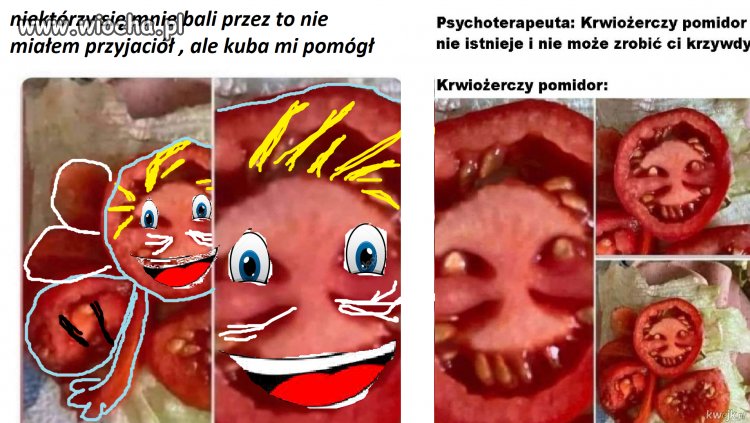 Zły pomidor czy dobry pomidor ?