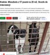 SĄSIEDZI PEWNO NIE WIEDZIELI