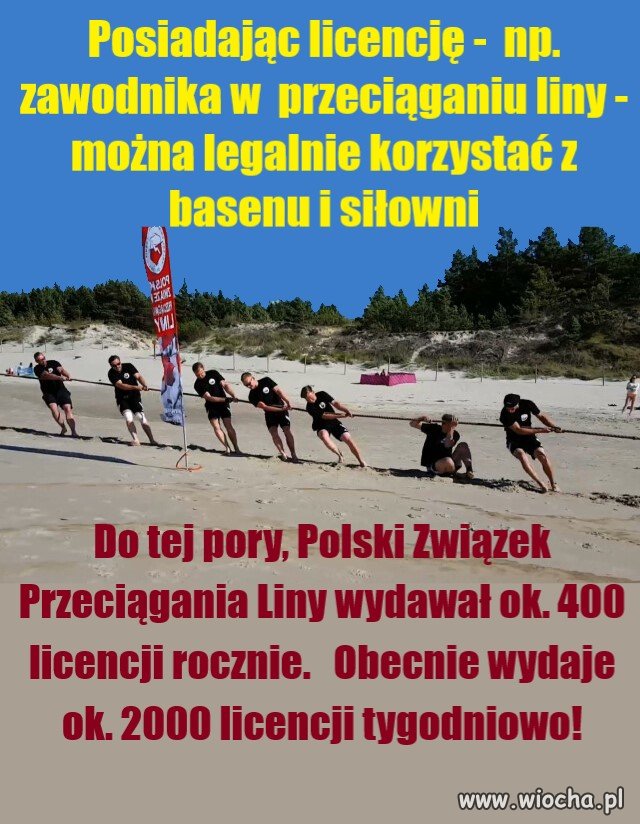 Polak potrafi?