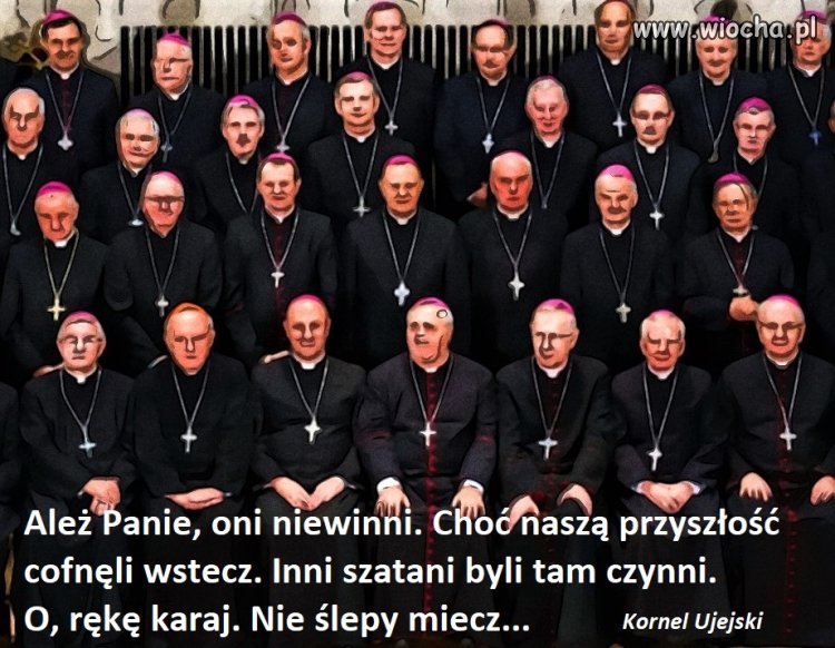 Trybunał Kulinarny Przyłębskiej.