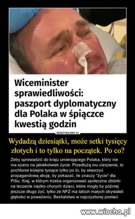 PiS potrafi ... populizm z propaganda.