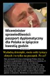PiS potrafi ... populizm z propaganda.