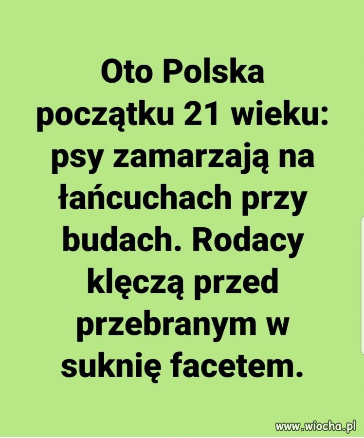 To jest Polska właśnie. XXI wiek ...