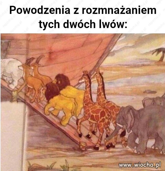 Lekcja religii dzisiaj