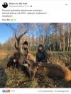 Co ten biedny zwierzak zawinił