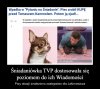 Jaka telewizja ... takie śniadanie 