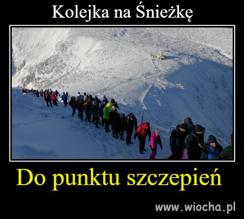 Kolejka do punktu ...