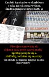 Tylko w państwie PiS