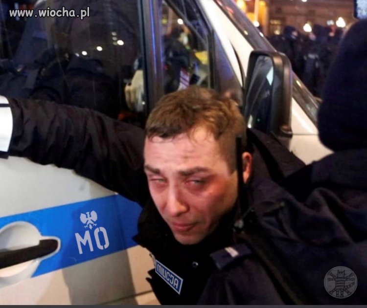 Biedactwo, jakże mi go, koo rwa, nie żal 