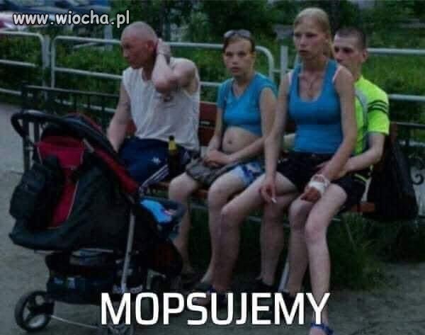 Pislandzki katoliban wyznacza nowe trendy