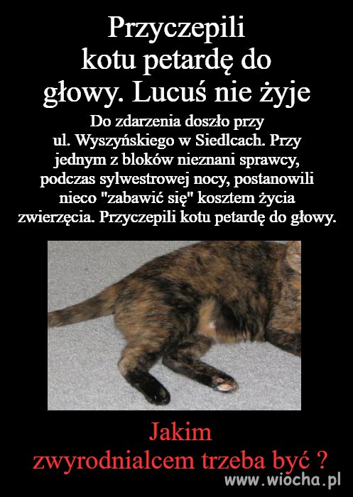 Zwyrodnialce 
