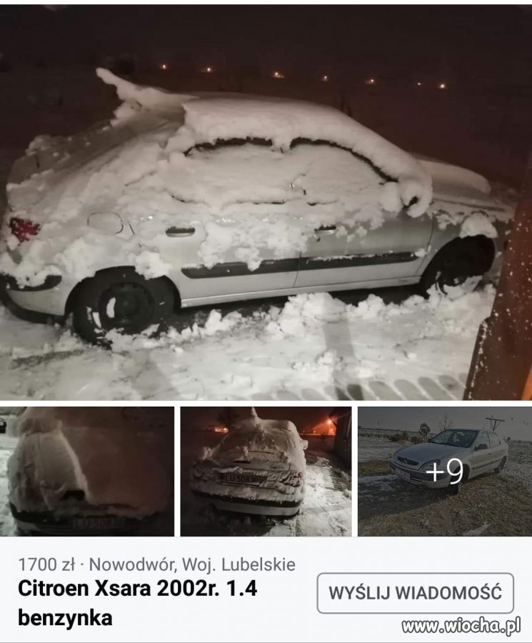 Janusze zimowego biznesu