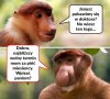 Zabawa w doktora 